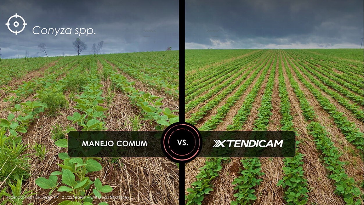 lado esquerdo manejo comum, lado direito manejo com XTENDIMAX® 2
