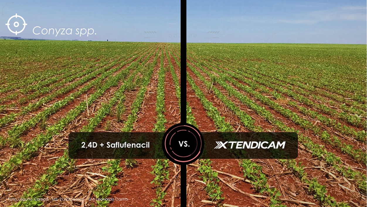 lado esquerdo manejo comum, lado direito manejo com XTENDIMAX® 2