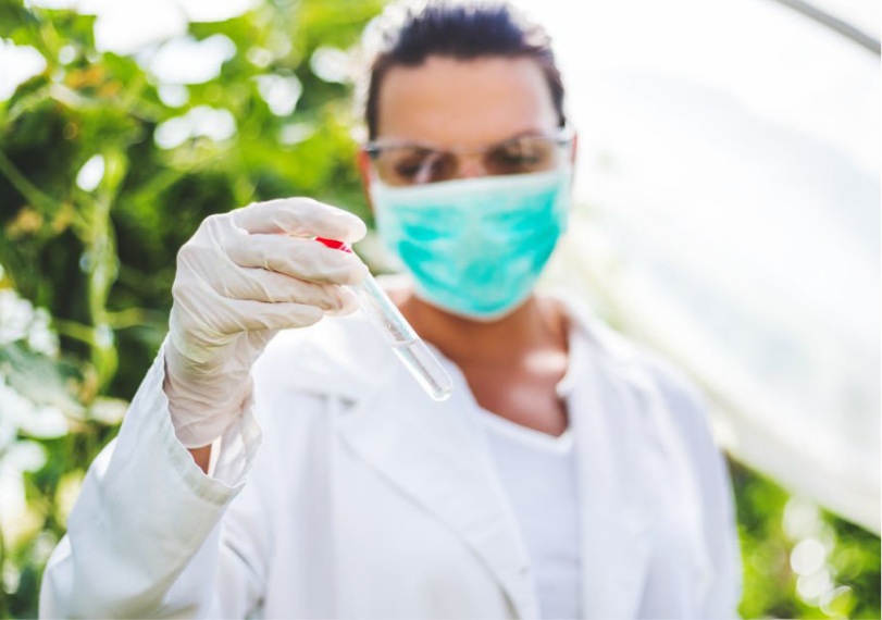 cientista analisando tubo de ensaio