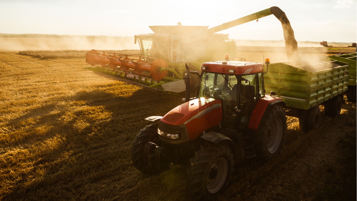 Trator colhendo soja