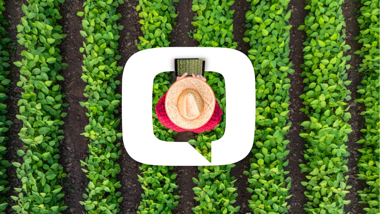 Uma vista aérea de fileiras de plantações verdes. Ao centro, um ícone de balão de fala branco. Dentro dele, uma pessoa com chapéu de palha e camisa xadrez segura um tablet.