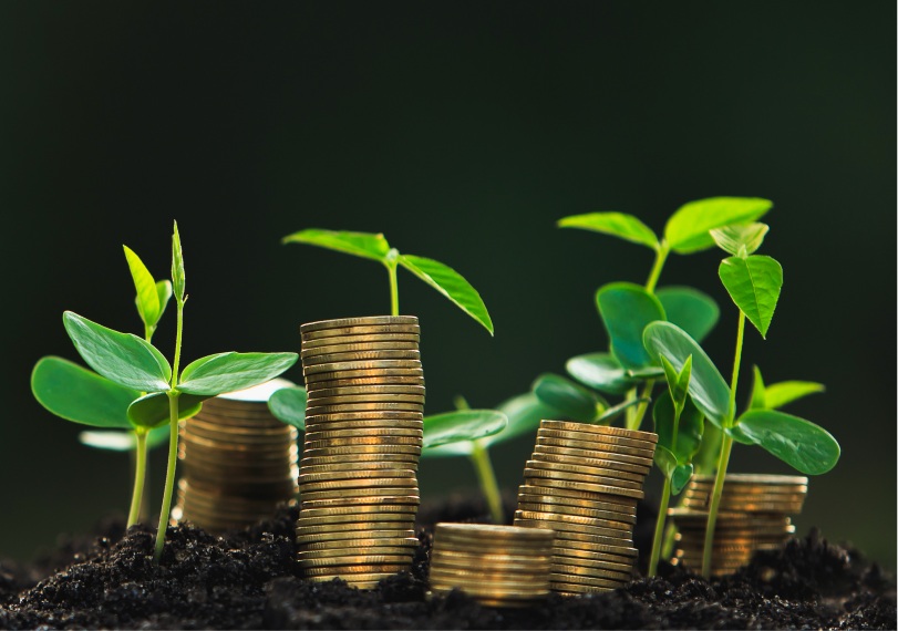 moedas ao lado de plantas 